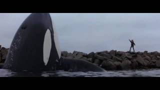 free willy best scene [upl. by Gus]