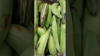 Green plantains [upl. by Cora]