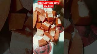 Red Lady Pappaya seedless [upl. by Beatrice]