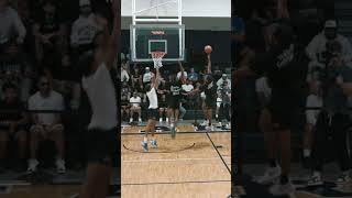 Almost Touching Top Of The Backboard With 2 Hands Is RIDICULOUS [upl. by Jasper]