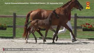 Lot 2 v Bordeaux  Vitalis [upl. by Leroi]