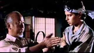 quotMiyagi Reikiquot from The Karate Kid 1984 Columbia Pictures [upl. by Notsej517]