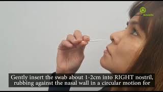 InnoScreen  Nasal Rapid Antigen Test [upl. by Peterman58]