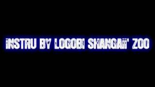 Logobi Instru Chinois En Live De Shangaî zoO [upl. by Ivz179]