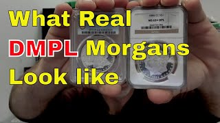 What A Real DMPL Morgan Dollar Looks Like Deepest Mirrors [upl. by Fanchet]