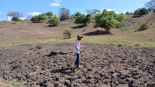 a seca na caatinga destrói tudo [upl. by Divod]