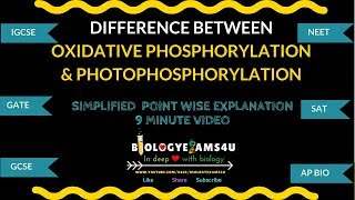 Difference between Oxidative phosphorylation and Photophosphorylation [upl. by Katt]