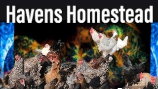 Homesteading Ant 🐜 EASY [upl. by Byers340]