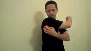 Teres Major Self Myofascial Release  Mike Reinold [upl. by Francis]