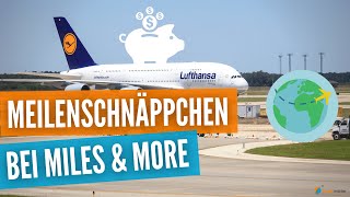 50 Rabatt mit Miles amp More Meilenschnäppchen auf Prämienflügen  Tipp vom TravelInsider [upl. by Hurley108]