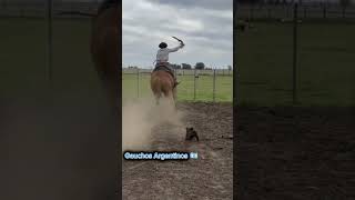 El Gran Amilcar Unanue ORGULLO ARGENTINO 🇦🇷 [upl. by Enelhtak]