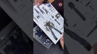 Unboxing PG Unicorn Banshee  Expansion Unit [upl. by Barnard]