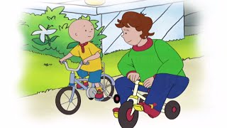 ■■ Caillou Full Episodes  Caillou learns to Cycle ☼☼ Hour Long Compilation  Brand New HD [upl. by Verras]