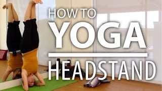 Yoga for Beginners  How to do a Headstand Sirsasana [upl. by Kieger]