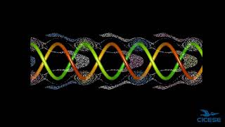 Leapfrogging Helical Vortices [upl. by Pearle]