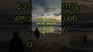 കണ്ണീരിൽ മുങ്ങി ഞാൻ കൈകൾ നീട്ടുന്നു പെരിയോനേKanneeril Mungi Njaan Kaikal Neettunnu Periyone [upl. by Yerffeg]