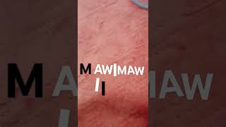 Awimawi [upl. by Aeli]