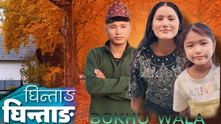 मेरो माया नौ डाडा पारी  GHINTANG  Karma Tseten Ghale [upl. by Wylma]