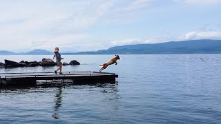 Summer is HERE in Montana Flathead Lake MT [upl. by Alael623]