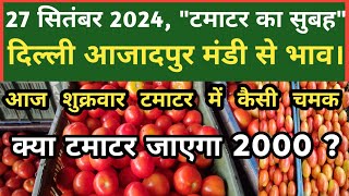 27 सितंबर 2024 टमाटर का भाव Azadpur Delhi Mandi Today delhifruitmarket tomato tomatoes dmttv [upl. by Corinne]