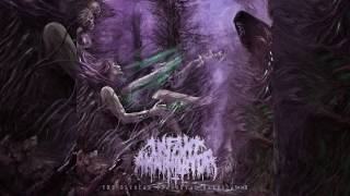 Infant Annihilator  Pelt of Innocent Flesh lyric video [upl. by Issej]