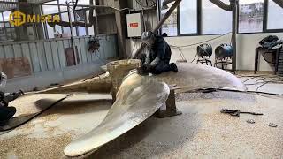 Misea Grade 3 Nickel Aluminum Bronze Marine Propeller with a diameter 5m is undergoing polishing [upl. by Yennej]