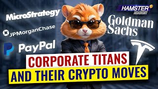 How top 5 corporations handle the wild world of crypto ⚡️ Hamster Academy [upl. by Hugh]