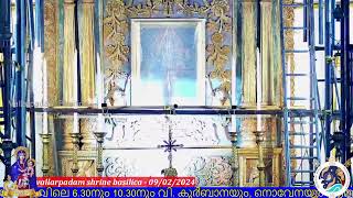 09 FEBRUARY 2024  0630AM  LIVE HOLY MASS  വിശുദ്ധ കുർബാന  VALLARPADAM SHRINE BASILICA [upl. by Clo]