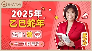 麦玲玲师傅详解2025蛇年运程：生肖猪！事业运、财运、人际关系、爱情、婚姻、健康全解析！ [upl. by Assirec]