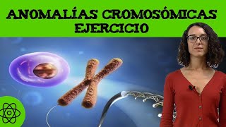 Ejercicio de anomalías cromosómicas 🧬 translocación I [upl. by Lala]