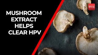 Study Mushroom extract supports clearing human papillomavirus HPV infections [upl. by Ecinad]