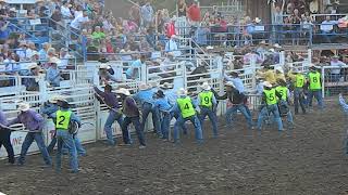 Wild Horse Race at 2017 Omak Stampede [upl. by Malik]