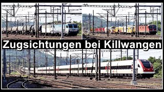 Zugsichtungen beim Gleisvorfeld des Bahnhof KillwangenSpreitenbach Kanton Aargau Schweiz 2023 [upl. by Elmira517]