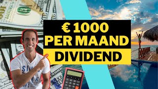 ZOVEEL aandelen heb je nodig voor €1000 dividend per maand Beleggen in dividend aandelen bij DEGIRO [upl. by Neeuq701]