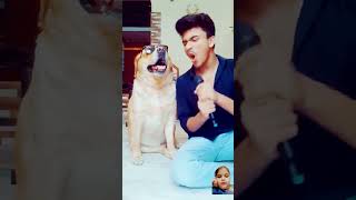 dog comedy doglover funny calendar labrador tumharesivakuchnachahatkarenge [upl. by Cheria]