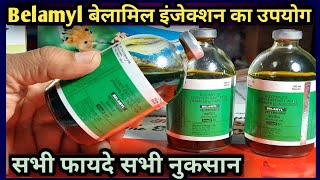 Belamyl Injection Veterinaryपशुओं में इस इंजेक्शन के सभी फायदे सभी नुकसानBComplex Liver Extract [upl. by Micaela]