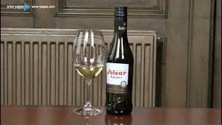 Barbadillo Solear Manzanilla Sherry wine review [upl. by Bomke]