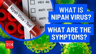 Nipah Virus What are the symptoms  Can Nipah be treated  Know all about Kerala the Outbreak [upl. by Ynaiffit]