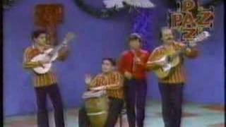 Los Andinos Medley Navidad [upl. by Myrlene]