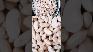 Cómo hacer Frijoles Como hacer Porotos Blancos o Porotos Pallares frijoles proteinavegetal [upl. by Danyette]