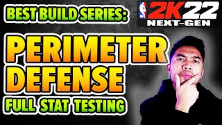 Do you really need PERIMETER DEFENSE on NBA 2K22 NextGen BEST BUILD SERIES [upl. by Ycnalc]