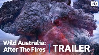 Wild Australia After the Fires  Official Trailer [upl. by Barnum150]