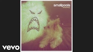 Smallpools  Dreaming Official Audio [upl. by Yrakaz590]