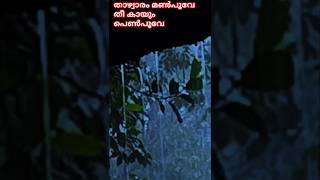 താഴ്വാരം മൺപൂവേ തീ കായും പെൺപൂവേ   yes udaschithara  Music lover [upl. by Demaria]