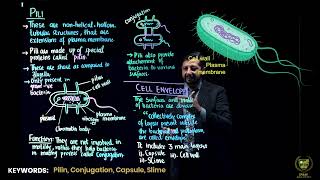 Pili Cell Envelope  11TH BIOLOGY  CHP 6  LECTURE 7 [upl. by Rogers]