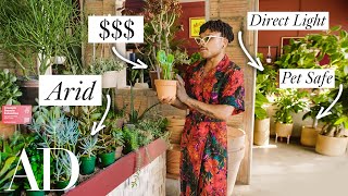 How To Shop For Houseplants Explained By A Plant Expert  Architectural Digest [upl. by Juni]