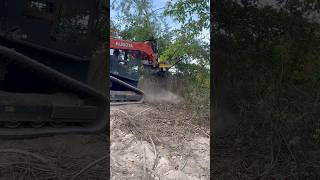 Getting some work done Kubota svl752 clearing land Danuser tree puller Burning brush [upl. by Stochmal376]