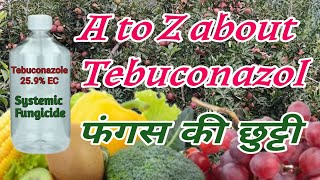 Tebuconazole 259 EC फंगस का सफाया  A to z about Tebuconazol Fungicide  bagwanikibaat [upl. by Cordalia]