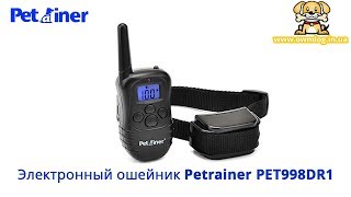 Электронный ошейник для дрессировки собак Petrainer PET998DR [upl. by Town]