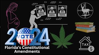 Florida Constitutional Amendments Explained [upl. by Casilde90]